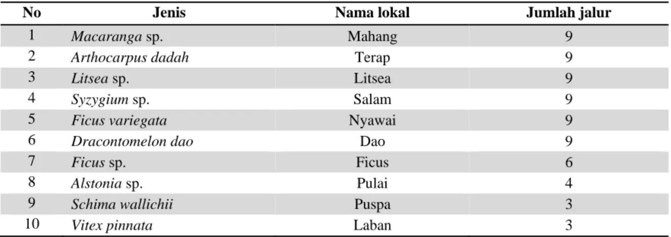 Tabel 1. Sepuluh jenis tanaman lokal yang di uji pada lahan bekas tambang batubara  