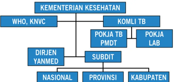 Gambar 1. Struktur organisasi PMDT di Indonesia