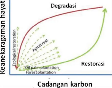 Gambar 4. Dinamika cadangan karbon dan keanekaragam hayati pada  tingkat penggunaan lahan (Sumber: Dewi and van Noordwijk, 2009).