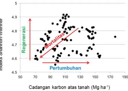 Gambar 5 menunjukkan bahwa tidak ada hubungan yang  jelas antara cadangan karbon pada satu areal hutan dengan indeks  diversitasnya