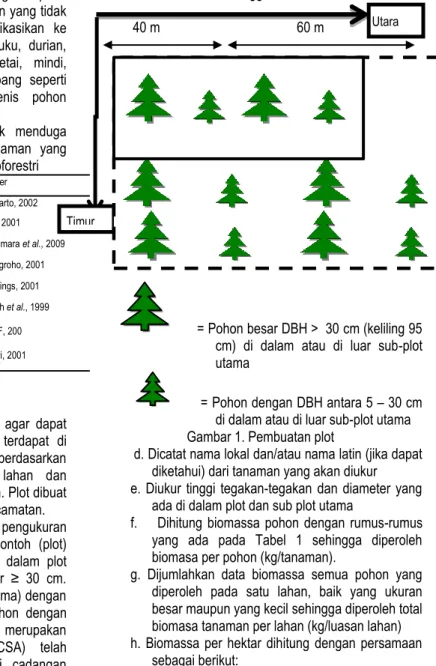 Tabel  1.  Rumus-rumus  allometrik  untuk  menduga  biomassa  beberapa  jenis  tanaman  yang  umum ditanam pada lahan agroforestri 
