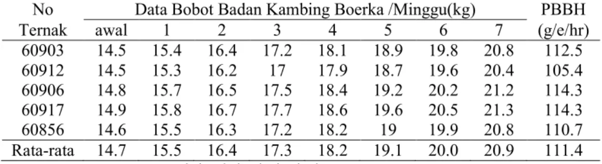 Tabel 3. Rataan bobot badan dan PBBH kambing Boerka selama pengamatan  No  Data Bobot Badan Kambing Boerka /Minggu(kg)  PBBH 