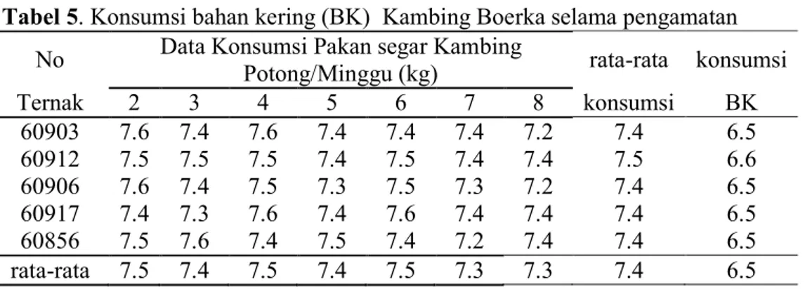 Tabel 5. Konsumsi bahan kering (BK)  Kambing Boerka selama pengamatan  No  Data Konsumsi Pakan segar Kambing 