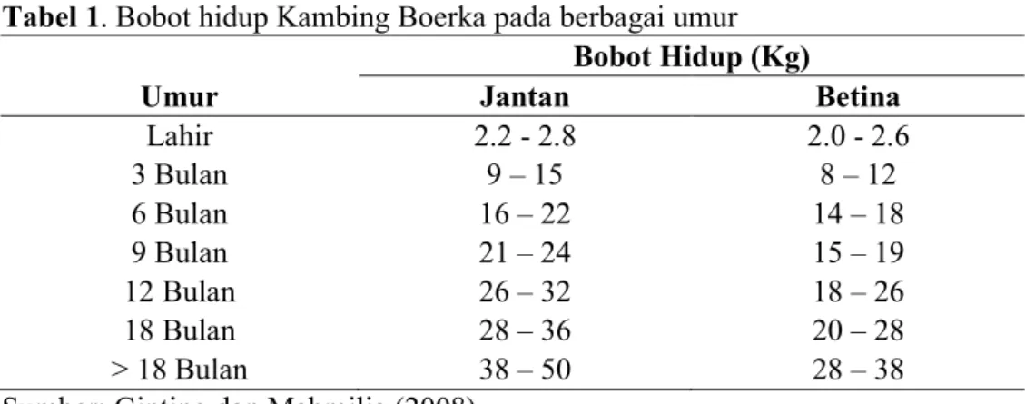 Tabel 1. Bobot hidup Kambing Boerka pada berbagai umur  