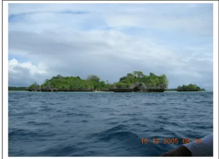 Gambar 1. Pulau Lingayan berbatuan granit yang terlapuk lanjut dan menghasilkan tanah cukup tebal