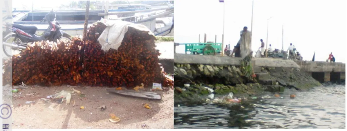 Gambar 20 Kayu mangrove yang dimanfaatkan dan pembuangan sampah ke laut  4.4.1.  Pantai 