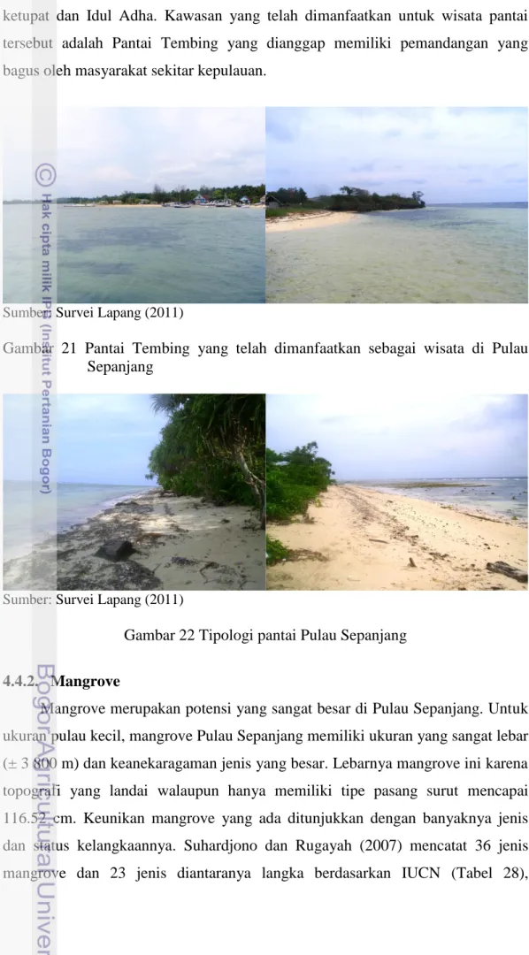Gambar  21  Pantai  Tembing  yang  telah  dimanfaatkan  sebagai  wisata  di  Pulau  Sepanjang 