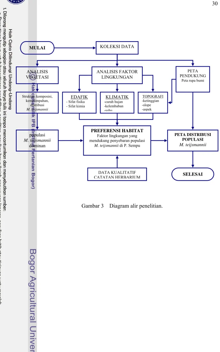 Gambar 3    Diagram alir penelitian. 