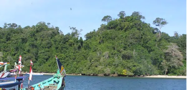 Gambar 5  Cagar Alam Pulau Sempu dan Selat Sempu dilihat dari Pulau Jawa. 