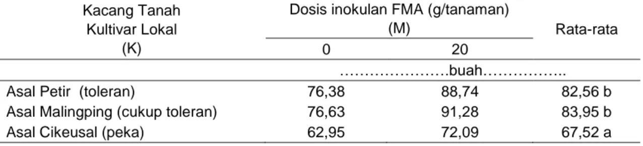 Tabel 9  Jumlah  polong  per  petak  (2,52  m 2 )  kacang  tanah  kultivar  lokal  asal  Banten  dengan  toleransi  berbeda  terhadap  cekaman  kekeringan  yang  diinokulasi  FMA 