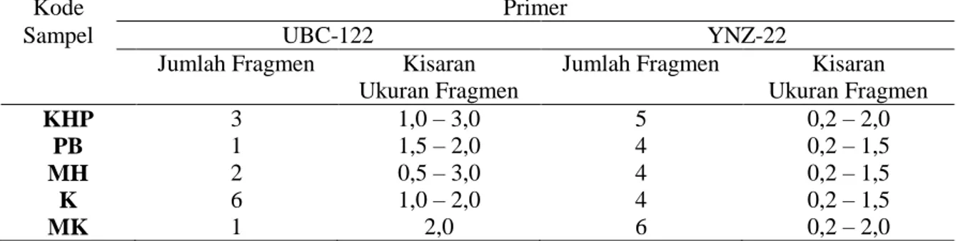 Tabel  4.  Jumlah  dan  Ukuran    Fragmen  DNA  Induk  Ikan  Kerapu  Macan  yang  Lolos  Seleksi  Menggunakan Primer UBC-122 dan YNZ-22                 