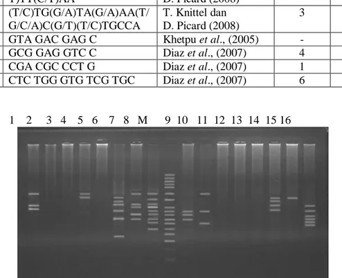 Gambar 2.   Elektroforesis  DNA  produk  PCR-RAPD  ikan  kerapu  macan  yang  rentan  (1-8)  dan  yang  tahan (9-16) dengan 8 jenis primer  berbeda (primer A, B, C, 122, 1-58,  UBC-456, UBC457, YNZ-22) 