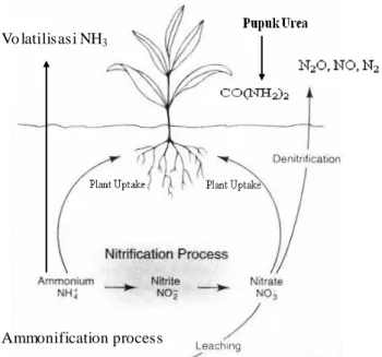 Gambar 2. Siklus Nitrogen di dalam Tanah 