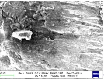 Gambar 4. Foto SEM Spesimen Uji Rendam dalam Nira  Aren  pada  pH  4,6  dengan  Perbesaran  2000X 