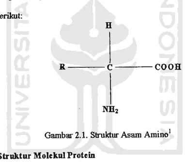 Gambar 2.1. Struktur Asam Amino 2. Struktur Molekul Protein