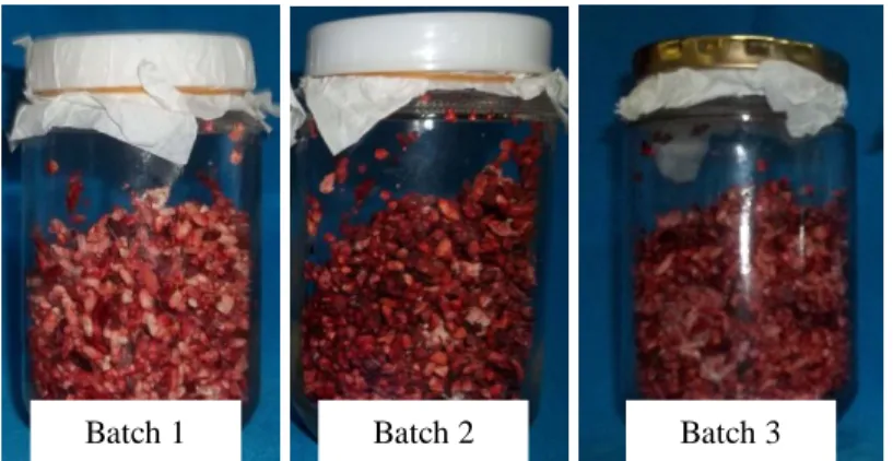 Gambar 1. Perbedaan tingkat kemerahan pada ketiga batch fermentasi  . 