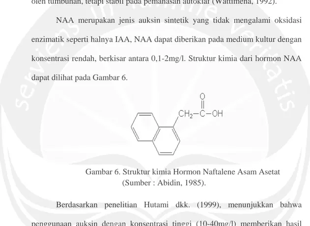 Gambar 6. Struktur kimia Hormon Naftalene Asam Asetat            (Sumber : Abidin, 1985)