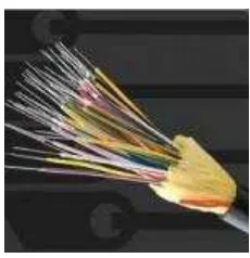 Gambar 2.24 Kabel Fiber Optic 