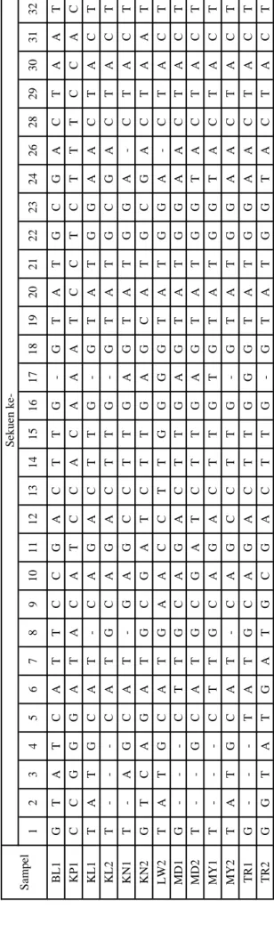 Tabel 1. Perbedaan jenis basa pada urutan sekuen intron trnL dari 13 individu porang  