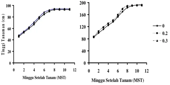 Gambar 2 Grafik pertumbuhan tinggi tanaman varietas IR64 (A) dan HB (B) pada                     dosis  radiasi 0,  0.2 dan 0.3 kGy pada generasi M0