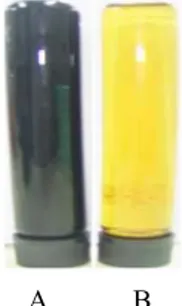 Gambar 3. Minyak nyamplung kasar (A) dan minyak yang telah dimurnikan (B) 