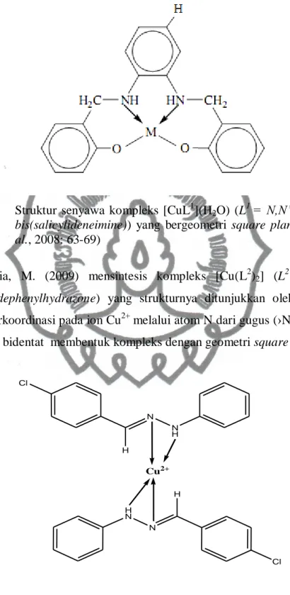 Gambar 1.   Struktur  senyawa  kompleks  [CuL 1 ](H 2 O)  (L 1  = N,N’-O-phenylene  bis(salicylideneimine))  yang  bergeometri  square  planar  (Belaid  et  al., 2008: 63-69) 
