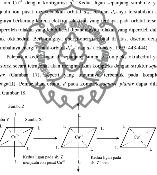 Gambar 17.   Distorsi  kompleks  oktahedral  yang  kemudian  menjadi  kompleks  oktahedral  yang terdistorsi secara tetragonal dan  kompleks  square  planar (Madan, 1987: 1361)  Cu 2+ L  L L L Sumbu Z Sumbu Y Sumbu X Cu2+ L L L L L L Cu2+ L L L L L L 