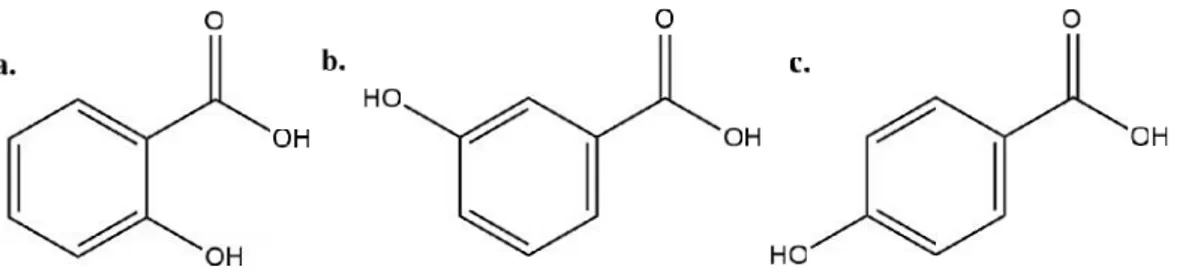 Gambar 1. Struktur a. Asam 2-hidroksibenzoat b. Asam 3-hidroksibenzoat dan c. Asam 4-hidroksibenzoat.