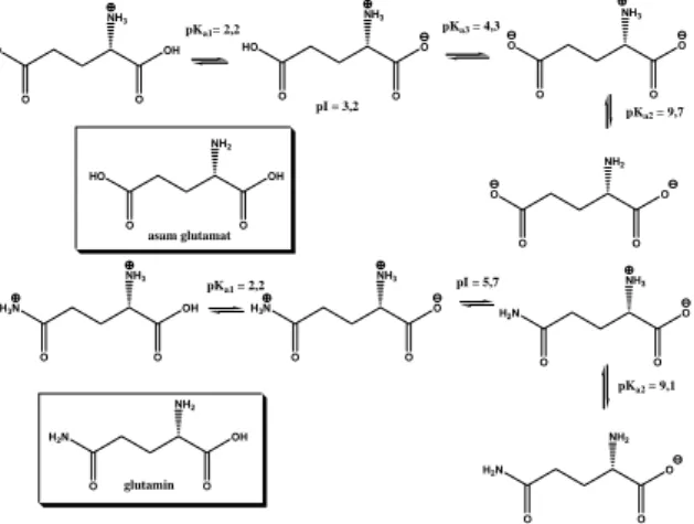 Gambar 3. Struktur spesi-spesi asam glutamat dan  glutamin pada berbagai kondisi pH 