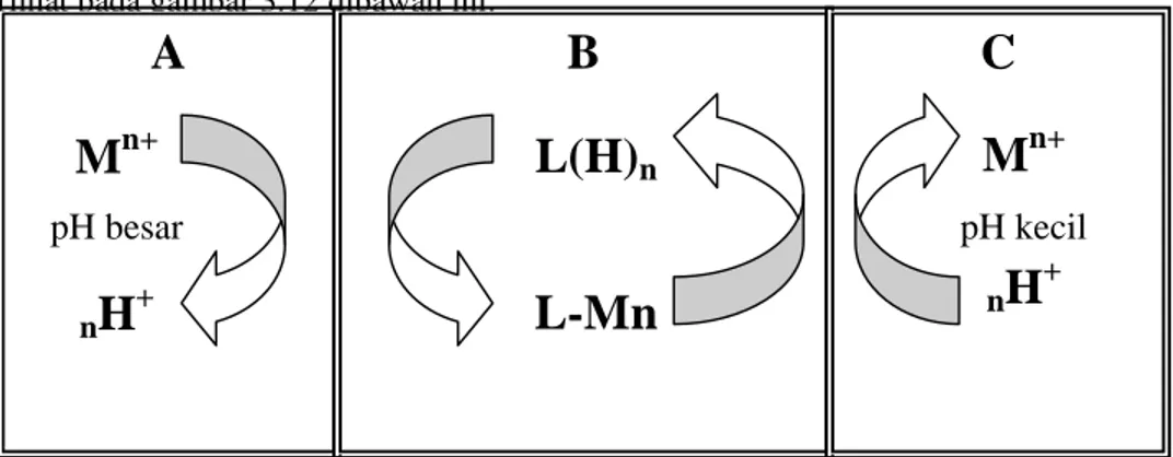 Gambar 4.12: Mekanisme pertukaran kation  A: fasa umpan    B: fasa organik   C: fasa penerima 