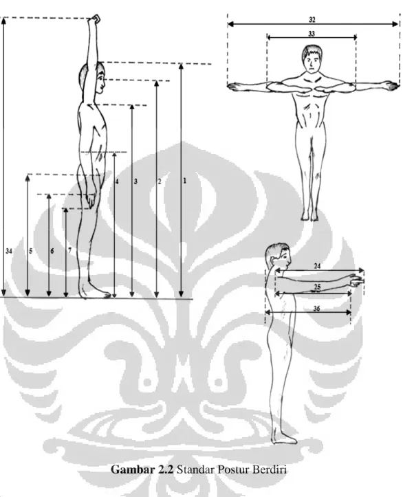 Gambar 2.2 Standar Postur Berdiri 