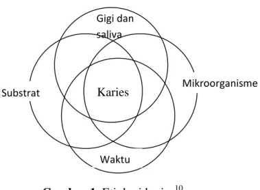 Gambar 1. Etiologi karies 10