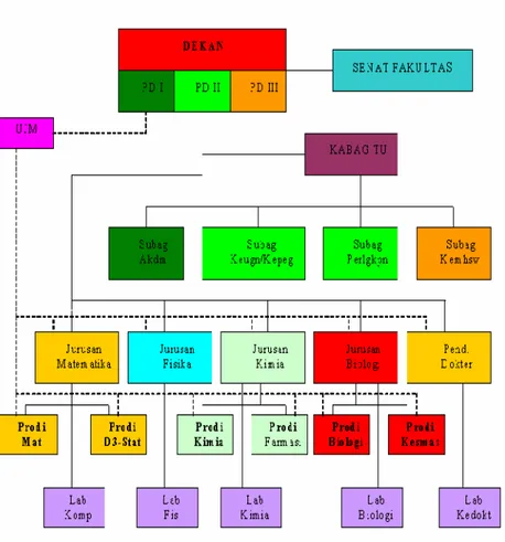 Gambar 1. Struktur organisasi FMIPA Unhalu
