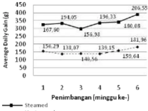 Figure 1.  Influence of Steamed and unsteamed  feed on average daily gain of sheep 