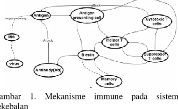 Gambar  1.  Mekanisme  immune  pada  sistem  kekebalan 