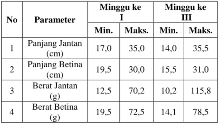 Tabel  2  menunjukkan  keadaan  panjang  (maksimun  dan  minimum)   cumi-cumi  Loligo  sp