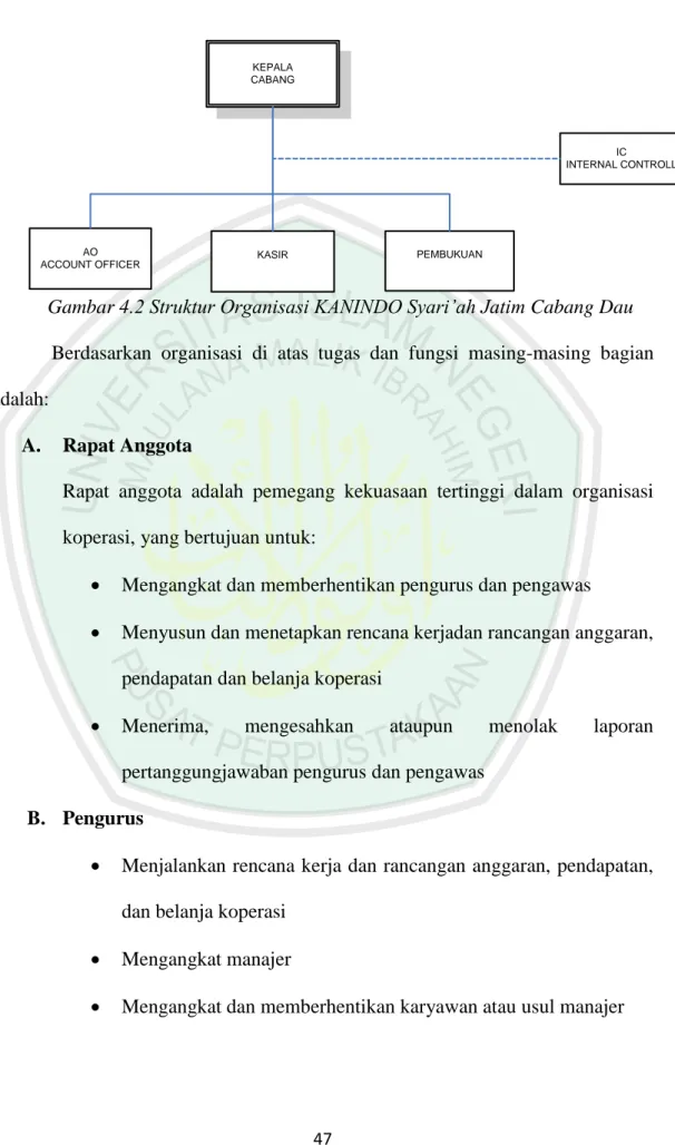 Gambar 4.2 Struktur Organisasi KANINDO Syari’ah Jatim Cabang Dau  Berdasarkan  organisasi  di  atas  tugas  dan  fungsi  masing-masing  bagian  adalah: 