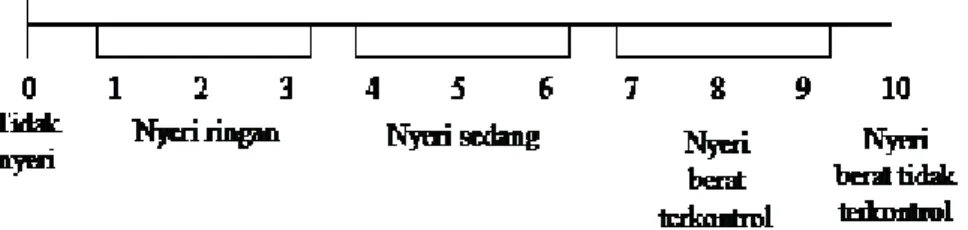 Gambar 1. Verbal Descriptor Scale (VDS)  2.6.2. Skala Identitas Nyeri Numeriks 