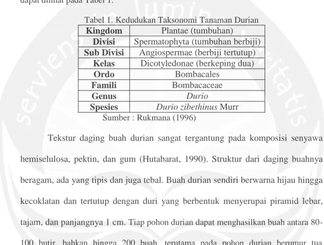 Tabel 1. Kedudukan Taksonomi Tanaman Durian Kingdom Plantae (tumbuhan)