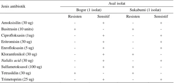 Tabel 2.  Uji  kepekaan  VTEC  O157:H7  yang  diisolasi  dari  Kabupaten  Bogor  dan  Sukabumi  terhadap  beberapa antibiotika 