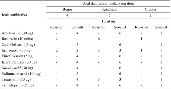 Tabel 3.  Uji  kepekaan  VTEC  non  O157:H7  yang  diisolasi  dari  Kabupaten  Bogor,  Sukabumi  dan    Cianjur  terhadap beberapa antibiotika 