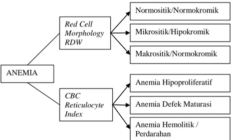Gambar  1.  Klasifikasi  anemia  berdasarkan  CBC,  Reticulocyte  Index,  Blood  Smear  Morphology, dan RDW  (Hilmann &amp; Finch, 1996)  