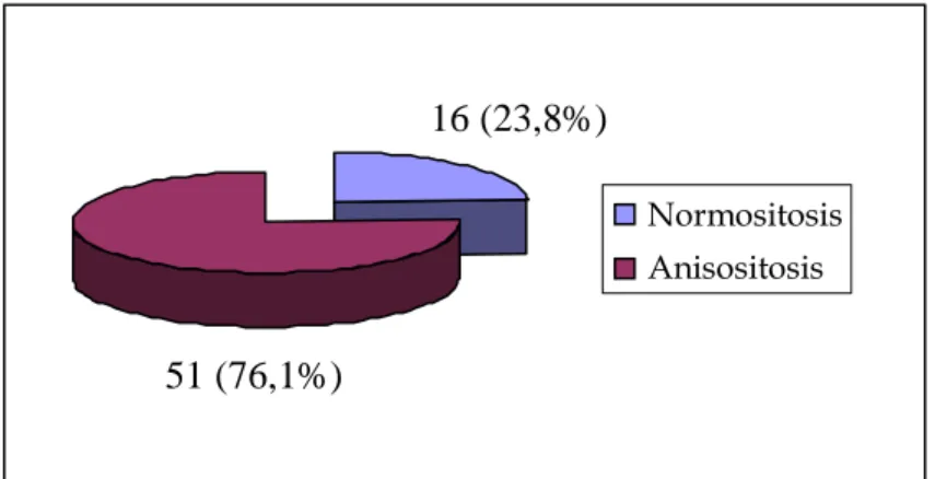 Gambar  3  menunjukkan  gambaran  proporsi  frekuensi  anisositosis  anemia  hipoproliferatif  dan  anemia  defek  maturasi  secara  keseluruhan  pada 