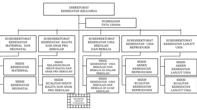 Gambar 1.  Struktur Organisasi Direktorat Kesehatan Keluarga 