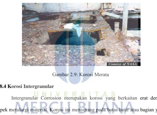 Gambar 2.9: Korosi Merata  2.8.4 Korosi Intergranular 