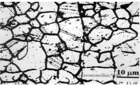 Gambar 2.10: Korosi Intergranular  2.8.5 Korosi Celah 