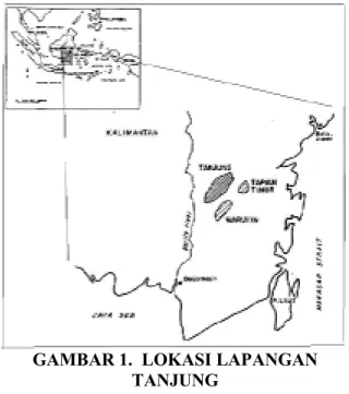 GAMBAR 3. TIPIKAL PLOT MINIFRAC 