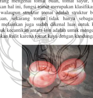 Gambar 1. Buah Tomat 