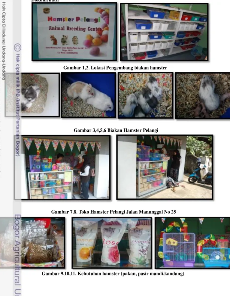 Gambar 7.8. Toko Hamster Pelangi Jalan Manunggal No 25