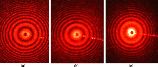 Gambar 4. Foto-foto pola interferensi cahaya laser yang terhambur dari cermin datar  yang ditaburi dengan “debu” (a) bedak bayi, (b) kapur tulis, dan (c) tepung beras